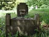image of grave number 689299